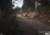 Sebastien Loeb Rally Evo - Bild 43