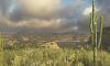BAJA: Edge of Control - Bild 8
