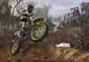 MX vs. ATV Reflex - Bild 17