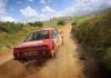 DiRT Rally 2.0 - Bild 15
