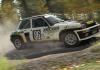 DiRT Rally - Bild 35