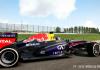 F1 2013 - Bild 17