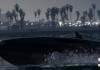 Grand Theft Auto V - Bild 88