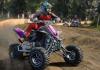 MX vs ATV Legends - Bild 13