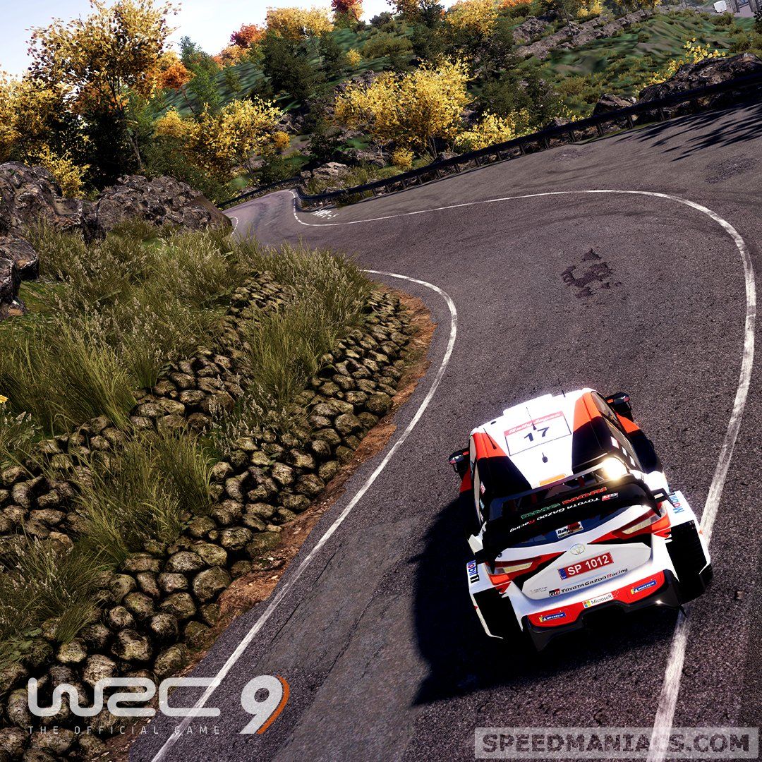 WRC 9: Klarstellung der besonderen Art