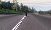 MotoGP 06 - Bild 6